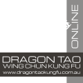 Dragon Tao Kung Fu Online Logo